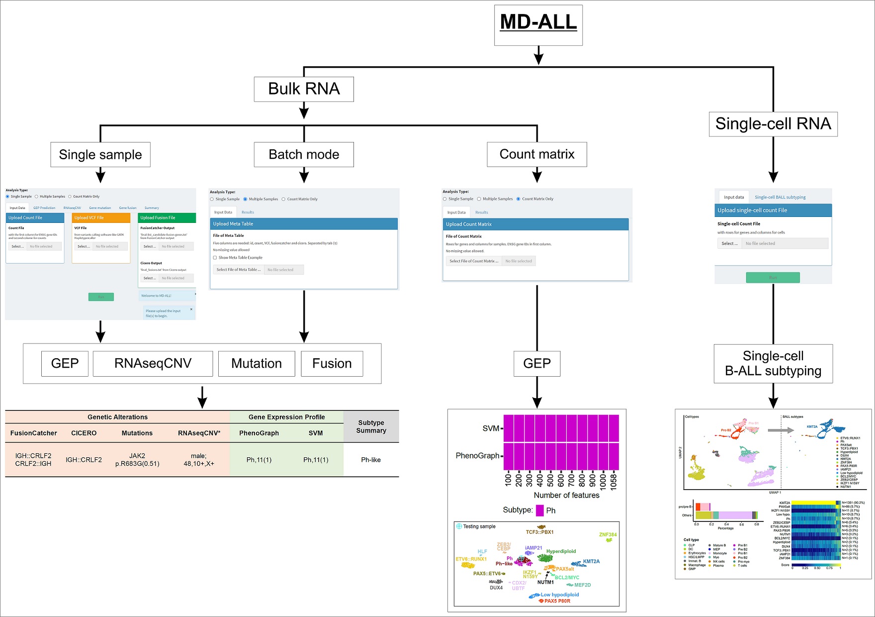 MD-ALL Preprint